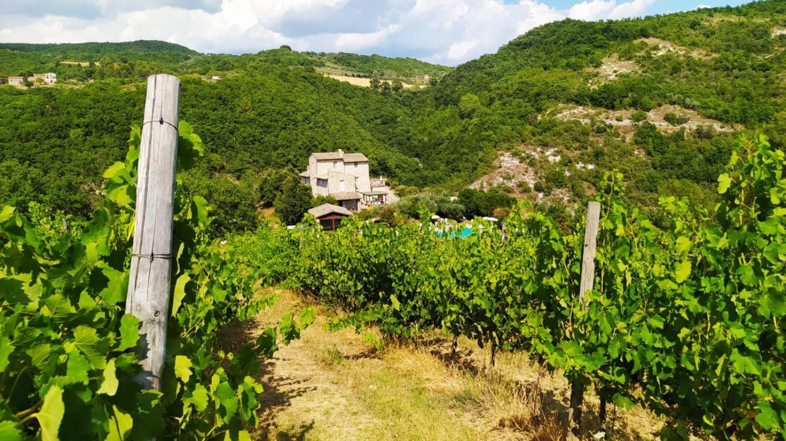 日艾图艾斯斯乡村生活方式公寓式酒店 阿西西 外观 照片